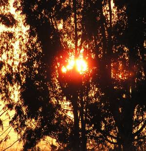 sunset #49 (October 2004) -- photo by Sienna, Caspar Headlands, 12 October 2004