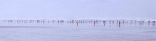 grey beach lined with colorful people looking for that dimple of the razor clam digging its way down in the sand