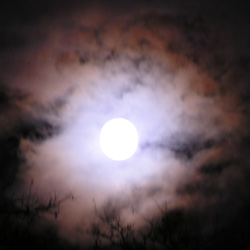 the full moon from my magic back porch on Twin Maple Lane: photo by Sienna